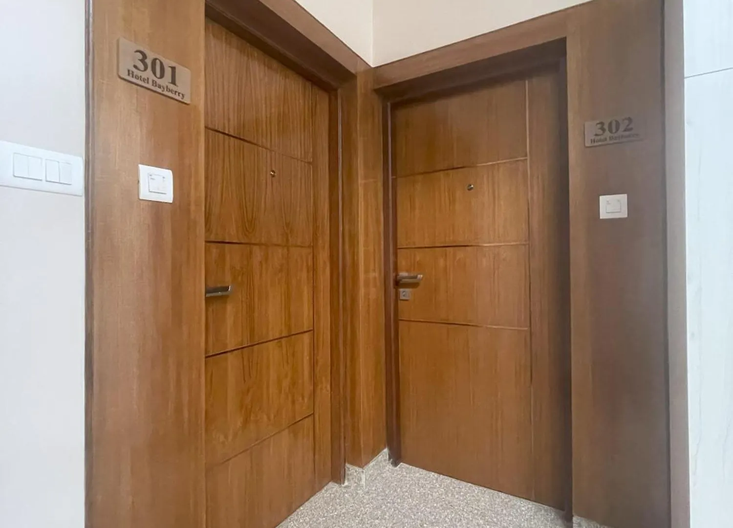 Hotel Bayberry Kathmandu - Near Tribhuvan International Airport